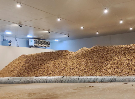 Food and Agriculture Industry